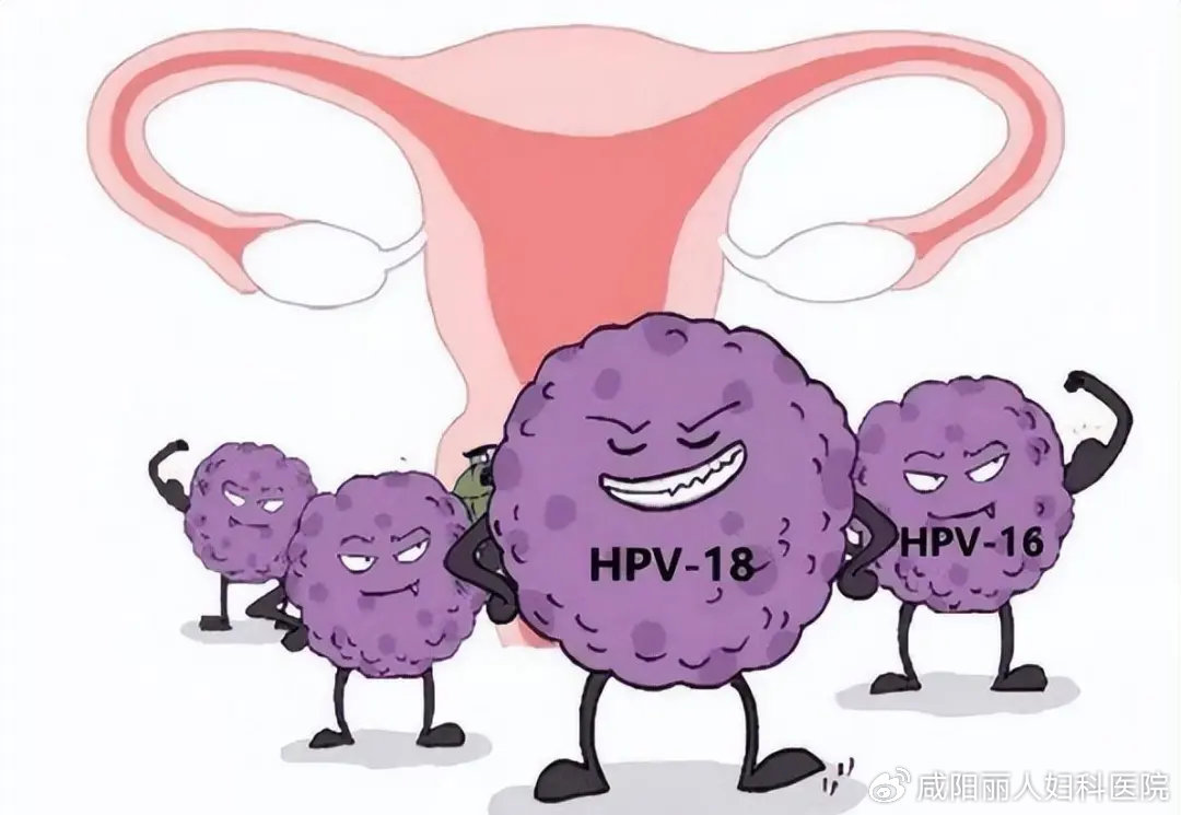 fd5e6feefd9f98eea302a274277bda2b_cea13f70ly4htro7hhsxaj20u00kpq53.jpg fd5e6feefd9f98eea302a274277bda2b_cea13f70ly4htro7hhsxaj20u00kpq53.jpg