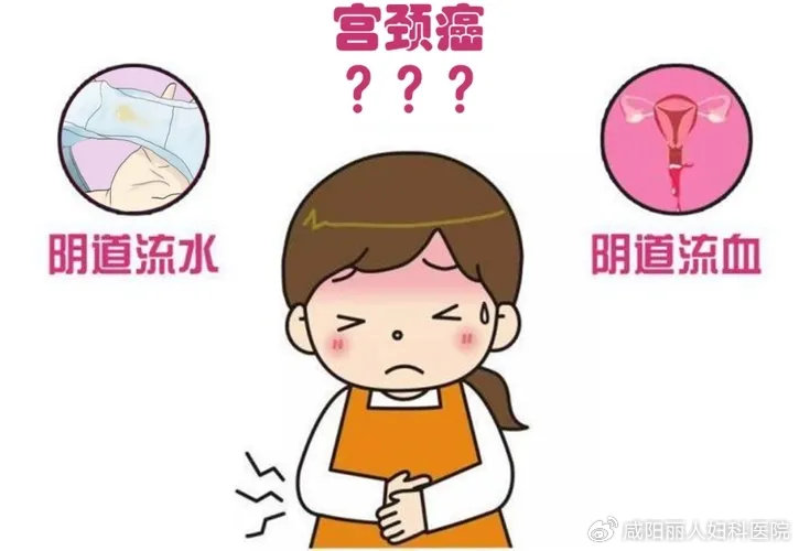 f0d4371c31b17e76c4276d504a0ded18_cea13f70ly4htro7ibp35j20k50dwmy4.jpg f0d4371c31b17e76c4276d504a0ded18_cea13f70ly4htro7ibp35j20k50dwmy4.jpg